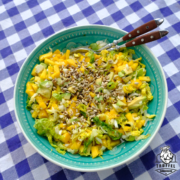 Fruchtiger Mango-Avocado-Salat mit Sonnenblumenkernen Fruchtiger Mango-Avocado-Salat mit Sonnenblumenkernen